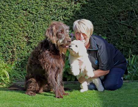 kc dog grooming, new longton