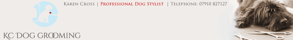 KC Dog Grooming, New Longton, Preston